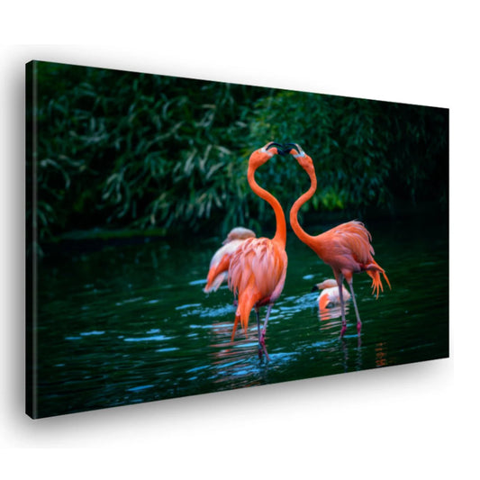 Canvas Schilderij Caribische Flamingo's