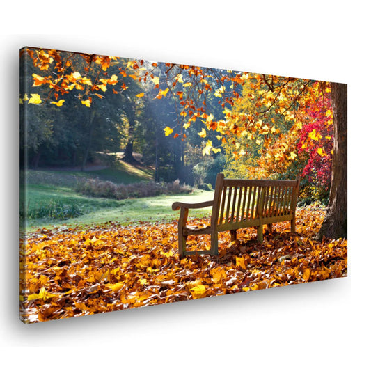 Canvas Schilderij Herfst Bos Bladeren