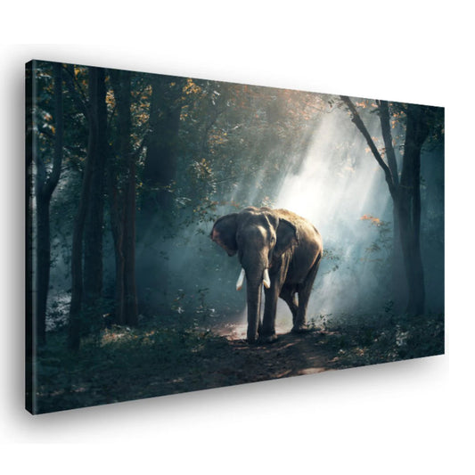 Canvas Schilderij Olifant In Het Bos