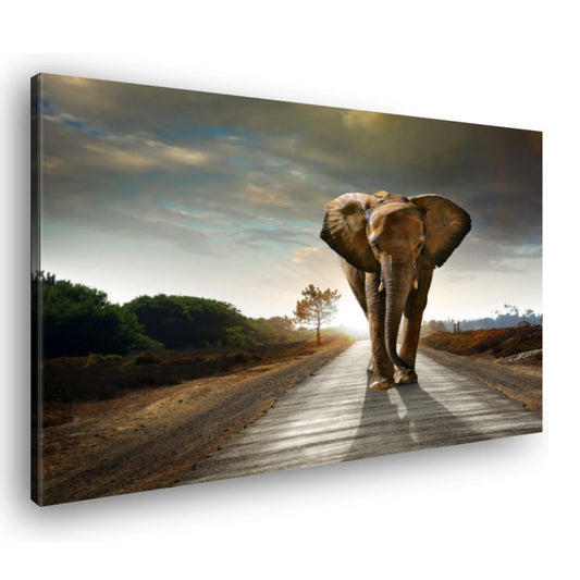 Canvas Schilderij Olifant Op De Weg