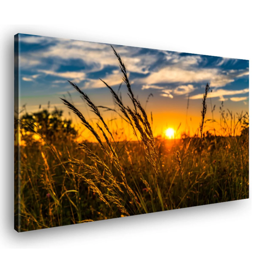 Canvas Schilderij Zonsondergang Met Gras