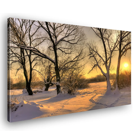 Canvas Schilderij Zonsondergang Winterse Bos