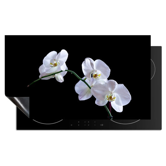 Inductie Beschermer Orchidee In De Avond