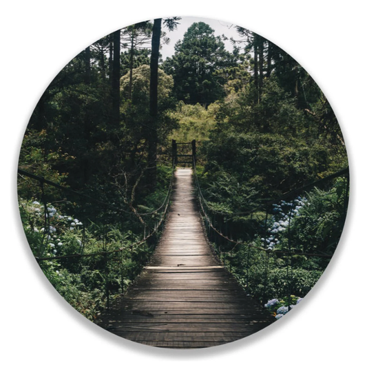 Wandcirkel Brug Tussen Bossen Groen